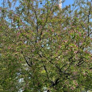 Meet your Posher, Jaeun